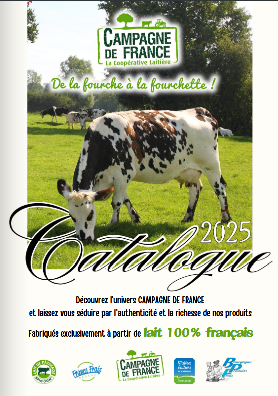 Capture décran 2025-06-10 171103